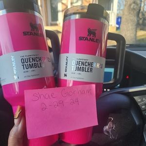 Listing is for ONE electric pink 40oz Stanley